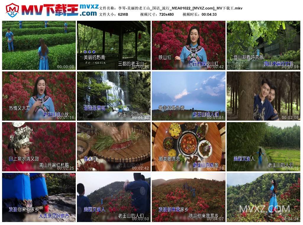 李琴-美丽的老王山_国语_流行_MEA01022